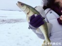 Filename=attachID_26911_postID_245837_IMG_2581.JPG
Filesize=72KiB
Dimensions=1000x750
Date added=Mar 25, 2017 attachID_26911_postID_245837_IMG_2581.JPG