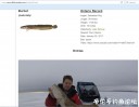 Filename=attachID_27125_postID_247356_ling.jpg
Filesize=55KiB
Dimensions=1000x778
Date added=Mar 25, 2017 attachID_27125_postID_247356_ling.jpg