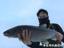 Filename=attachID_27181_postID_248018_image.jpeg
Filesize=56KiB
Dimensions=1000x750
Date added=Mar 25, 2017 attachID_27181_postID_248018_image.jpeg