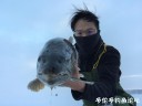 Filename=attachID_27182_postID_248018_image.jpeg
Filesize=51KiB
Dimensions=1000x750
Date added=Mar 25, 2017 attachID_27182_postID_248018_image.jpeg