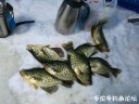 Filename=attachID_27256_postID_248626_IMG_20170205_124615.jpg
Filesize=102KiB
Dimensions=1000x750
Date added=Mar 25, 2017 attachID_27256_postID_248626_IMG_20170205_124615.jpg