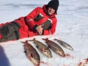 Filename=attachID_27345_postID_249563_white3.jpg
Filesize=48KiB
Dimensions=625x469
Date added=Mar 25, 2017 attachID_27345_postID_249563_white3.jpg