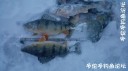 Filename=attachID_27381_postID_249834_53.jpg
Filesize=51KiB
Dimensions=1000x562
Date added=Mar 25, 2017 attachID_27381_postID_249834_53.jpg