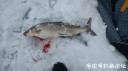 Filename=attachID_27402_postID_250018_IMG_20170211_142253458.jpg
Filesize=55KiB
Dimensions=1000x562
Date added=Mar 25, 2017 attachID_27402_postID_250018_IMG_20170211_142253458.jpg