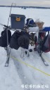 Filename=attachID_27622_postID_251668_20170217_154432.jpg
Filesize=62KiB
Dimensions=562x1000
Date added=Mar 25, 2017 attachID_27622_postID_251668_20170217_154432.jpg