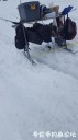 Filename=attachID_27623_postID_251668_20170217_154434.jpg
Filesize=49KiB
Dimensions=562x1000
Date added=Mar 25, 2017 attachID_27623_postID_251668_20170217_154434.jpg