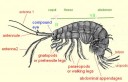Filename=attachID_27683_postID_252275_IMG_2059.JPG
Filesize=39KiB
Dimensions=600x387
Date added=Mar 25, 2017 attachID_27683_postID_252275_IMG_2059.JPG