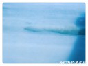 Filename=attachID_27753_postID_253247_IMG_20170223_150102_mh1487896650234.jpg
Filesize=45KiB
Dimensions=1000x750
Date added=Mar 25, 2017 attachID_27753_postID_253247_IMG_20170223_150102_mh1487896650234.jpg