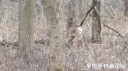 Filename=attachID_27758_postID_253256_IMG_20170223_5127.jpg
Filesize=76KiB
Dimensions=1000x562
Date added=Mar 25, 2017 attachID_27758_postID_253256_IMG_20170223_5127.jpg