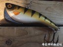 Filename=attachID_27790_postID_253579_225_1.jpg
Filesize=78KiB
Dimensions=979x734
Date added=Mar 25, 2017 attachID_27790_postID_253579_225_1.jpg