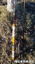 Filename=attachID_27808_postID_253716_IMG-20170218-WA0002.jpg
Filesize=199KiB
Dimensions=562x1000
Date added=Mar 25, 2017 attachID_27808_postID_253716_IMG-20170218-WA0002.jpg