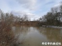 Filename=attachID_27810_postID_253743_IMG_20170226_122941.jpg
Filesize=123KiB
Dimensions=1000x750
Date added=Mar 25, 2017 attachID_27810_postID_253743_IMG_20170226_122941.jpg