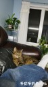 Filename=attachID_27816_postID_253813_IMG_20170226_184033.jpg
Filesize=70KiB
Dimensions=562x1000
Date added=Mar 25, 2017 attachID_27816_postID_253813_IMG_20170226_184033.jpg