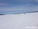Filename=attachID_27959_postID_255413_IMG_2728.JPG
Filesize=38KiB
Dimensions=1000x750
Date added=Mar 25, 2017 attachID_27959_postID_255413_IMG_2728.JPG