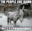 Filename=attachID_28043_postID_256008_Funny-Donkey-Meme-The-People-Like-Damn-Image.jpg
Filesize=44KiB
Dimensions=600x582
Date added=Mar 25, 2017 attachID_28043_postID_256008_Funny-Donkey-Meme-The-People-Like-Damn-Image.jpg