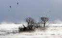 Filename=attachID_2807_postID_21528_image.jpg
Filesize=126KiB
Dimensions=810x497
Date added=Dec 02, 2016 attachID_2807_postID_21528_image.jpg