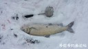 Filename=attachID_28081_postID_256350_20170311_093448.jpg
Filesize=59KiB
Dimensions=1000x562
Date added=Mar 25, 2017 attachID_28081_postID_256350_20170311_093448.jpg