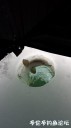 Filename=attachID_28135_postID_256997_20170315_145929.jpg
Filesize=37KiB
Dimensions=562x1000
Date added=Mar 25, 2017 attachID_28135_postID_256997_20170315_145929.jpg