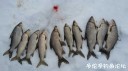 Filename=attachID_28180_postID_257311_3.jpg
Filesize=72KiB
Dimensions=1000x562
Date added=Mar 25, 2017 attachID_28180_postID_257311_3.jpg