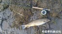 Filename=attachID_28214_postID_257528_IMG_20170319_51160.jpg
Filesize=144KiB
Dimensions=1000x562
Date added=Mar 25, 2017 attachID_28214_postID_257528_IMG_20170319_51160.jpg