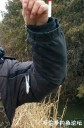 attachID_28362_postID_258767_IMG_20170326_0744547E2.jpg
