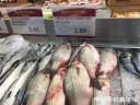 attachID_28367_postID_258853_IMG_0861.JPG