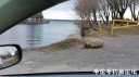 attachID_28491_postID_259759_20170401_083232.jpg