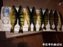 Filename=attachID_28620_postID_260997_IMG_0390.JPG
Filesize=94KiB
Dimensions=1000x749
Date added=May 25, 2017 attachID_28620_postID_260997_IMG_0390.JPG