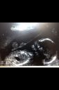 Filename=attachID_2862_postID_22361_image.jpg
Filesize=78KiB
Dimensions=640x960
Date added=Dec 02, 2016 attachID_2862_postID_22361_image.jpg