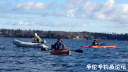 Filename=attachID_28646_postID_261160_IMG_0456.PNG
Filesize=684KiB
Dimensions=1000x563
Date added=May 25, 2017 attachID_28646_postID_261160_IMG_0456.PNG