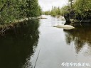 Filename=attachID_28718_postID_261672_IMG_1482.JPG
Filesize=134KiB
Dimensions=1000x750
Date added=May 25, 2017 attachID_28718_postID_261672_IMG_1482.JPG