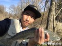Filename=attachID_28751_postID_262034_IMG_1601.JPG
Filesize=123KiB
Dimensions=1000x751
Date added=May 25, 2017 attachID_28751_postID_262034_IMG_1601.JPG