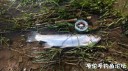 Filename=attachID_28880_postID_263768_IMG_20170424_32256.jpg
Filesize=126KiB
Dimensions=1000x562
Date added=May 25, 2017 attachID_28880_postID_263768_IMG_20170424_32256.jpg