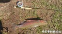Filename=attachID_28885_postID_263841_IMG_20170424_11451.jpg
Filesize=159KiB
Dimensions=1000x562
Date added=May 25, 2017 attachID_28885_postID_263841_IMG_20170424_11451.jpg