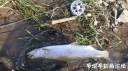 Filename=attachID_28886_postID_263842_IMG_20170424_39470.jpg
Filesize=130KiB
Dimensions=1000x562
Date added=May 25, 2017 attachID_28886_postID_263842_IMG_20170424_39470.jpg