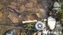 attachID_28887_postID_263843_IMG_20170424_39617.jpg