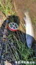 Filename=attachID_28892_postID_263865_20170424_130656.jpg
Filesize=124KiB
Dimensions=562x1000
Date added=May 25, 2017 attachID_28892_postID_263865_20170424_130656.jpg