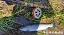 Filename=attachID_28893_postID_263865_20170424_123139.jpg
Filesize=150KiB
Dimensions=1000x562
Date added=May 25, 2017 attachID_28893_postID_263865_20170424_123139.jpg