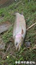 Filename=attachID_28909_postID_263977_20170425_100806.jpg
Filesize=140KiB
Dimensions=562x1000
Date added=May 25, 2017 attachID_28909_postID_263977_20170425_100806.jpg