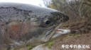 attachID_28911_postID_263977_20170425_105636.jpg