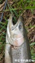 Filename=attachID_28917_postID_263978_20170425_123643.jpg
Filesize=118KiB
Dimensions=562x1000
Date added=May 25, 2017 attachID_28917_postID_263978_20170425_123643.jpg