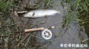 Filename=attachID_29036_postID_264582_IMG_20170429_11942.jpg
Filesize=108KiB
Dimensions=1000x562
Date added=May 25, 2017 attachID_29036_postID_264582_IMG_20170429_11942.jpg