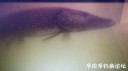 Filename=attachID_29049_postID_264664_20170429_203415.jpg
Filesize=37KiB
Dimensions=1000x562
Date added=May 25, 2017 attachID_29049_postID_264664_20170429_203415.jpg