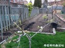 attachID_29139_postID_265377_IMG_2851.JPG