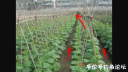 attachID_29143_postID_265486_IMG_2867.PNG