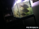 attachID_29197_postID_266179_IMG_0246.JPG