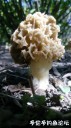 Filename=attachID_29216_postID_266299_4.jpg
Filesize=82KiB
Dimensions=562x1000
Date added=May 25, 2017 attachID_29216_postID_266299_4.jpg