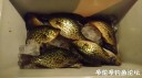 Filename=attachID_29324_postID_267144_DSC_0220.JPG
Filesize=69KiB
Dimensions=1000x562
Date added=May 25, 2017 attachID_29324_postID_267144_DSC_0220.JPG
