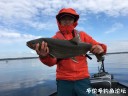 attachID_29330_postID_267174_IMG_2441.JPG
