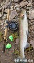 Filename=attachID_29351_postID_267262_20170513_105902.jpg
Filesize=159KiB
Dimensions=562x1000
Date added=May 25, 2017 attachID_29351_postID_267262_20170513_105902.jpg